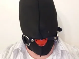 WyldePet